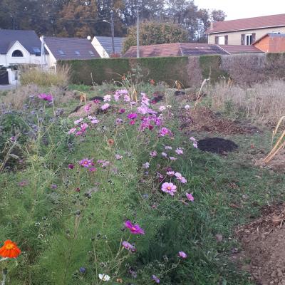 Préparation trous Automne 2021