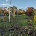 Gare de livry 12 11 22 4 