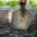Garden g6f8cd1f40 1920